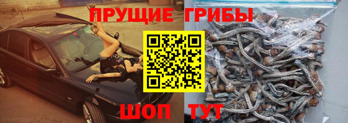 Южно-Сахалинск  Псилоцибиновые грибы Magic Shrooms  Вход с VPN  Галлюциногенные грибы Cubensis 